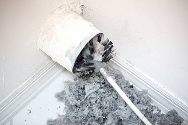 Best Dryer Vent Cleaning Services  in Dewey Humboldt, AZ